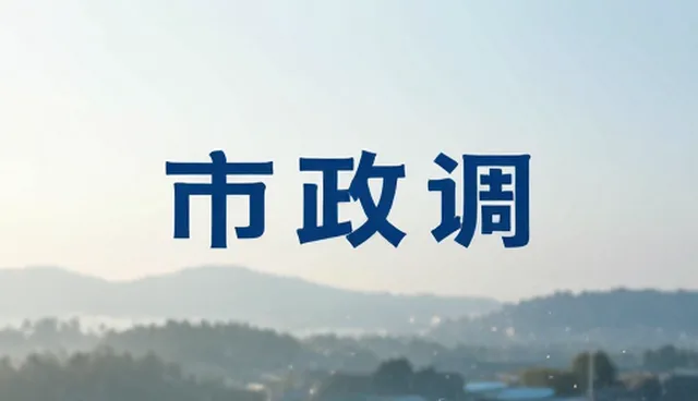 视频剪辑工具选型与性能优化建议